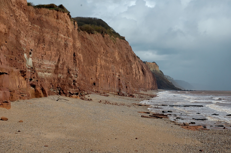 DSC_0209_out.jpg