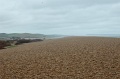 DSC_0166_out