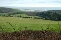 DSC_0170_out