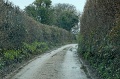 DSC_0197_out