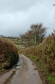 DSC_0198_out