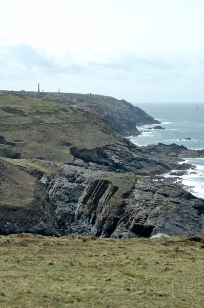 DSC_0059_out.jpg