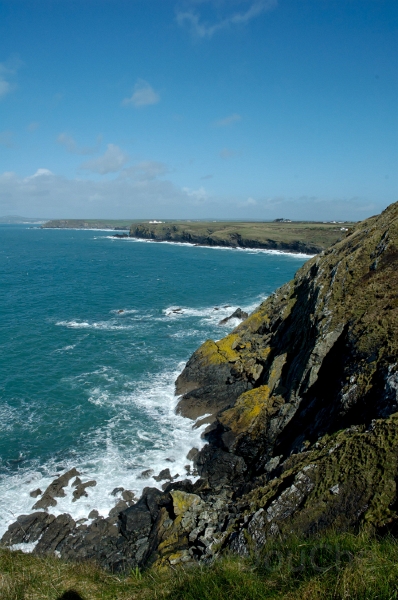 DSC_0125_out.jpg