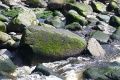 P1100026