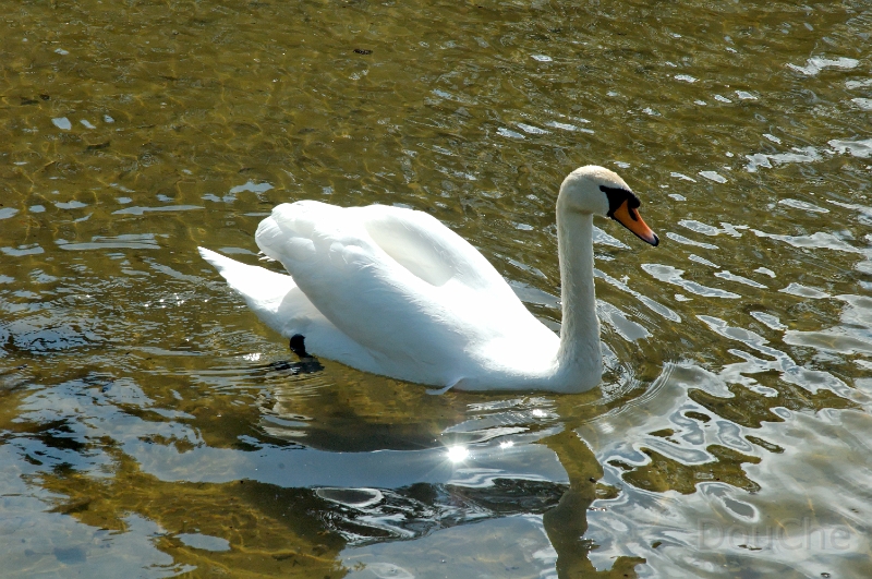 DSC_0162_out.jpg