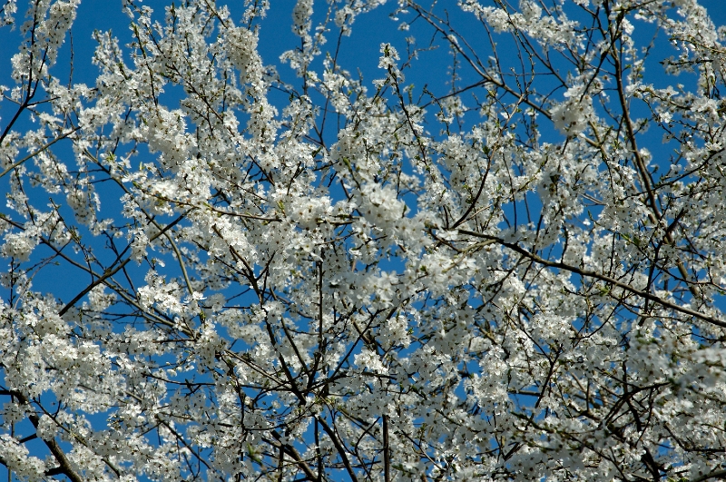 DSC_0218_out.jpg