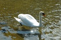 DSC_0162_out