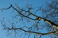 DSC_0181_out