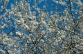 DSC_0218_out