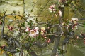 L1005935