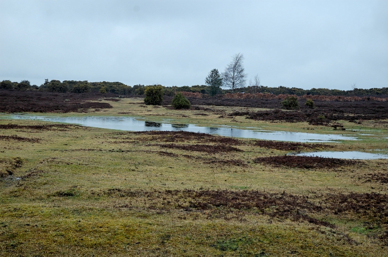 DSC_0057_out.jpg
