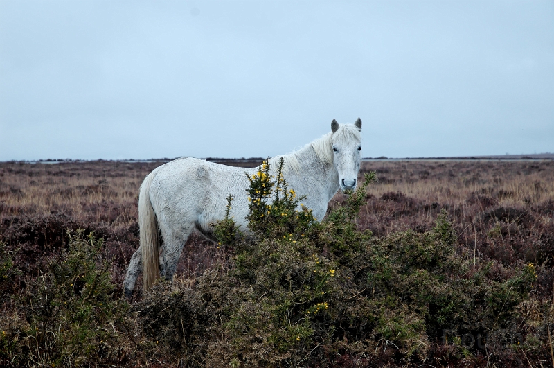 DSC_0061_out.jpg