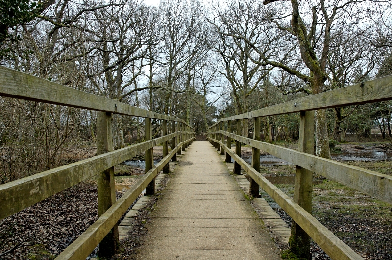 DSC_0123_out.jpg