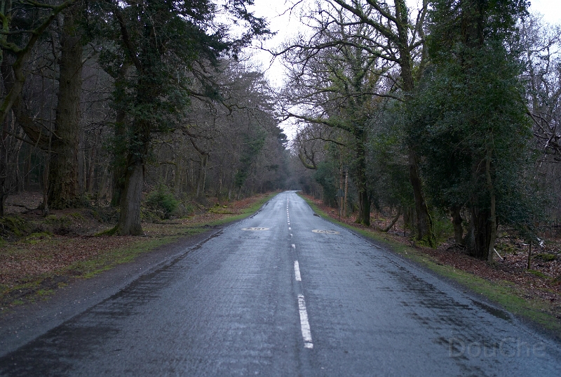 L1004908.jpg