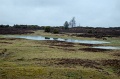 DSC_0057_out