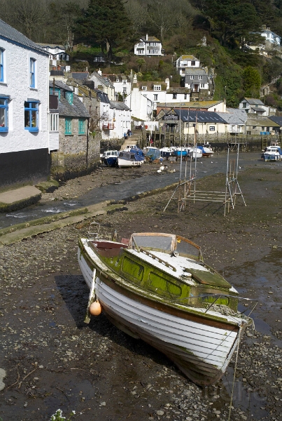 L1005485.jpg
