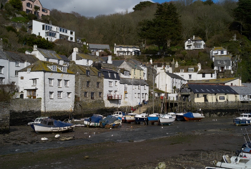 L1005487.jpg