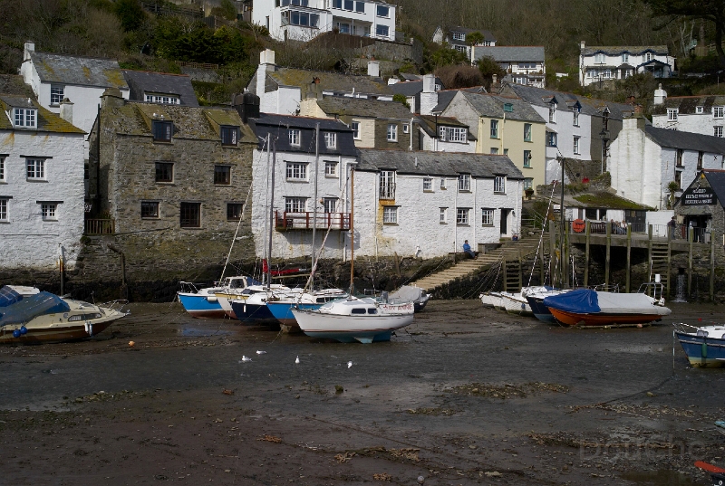 L1005490.jpg