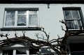 DSC_0166_out