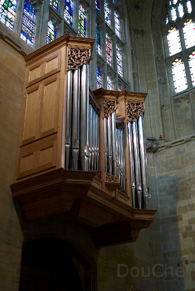 L1005066.jpg