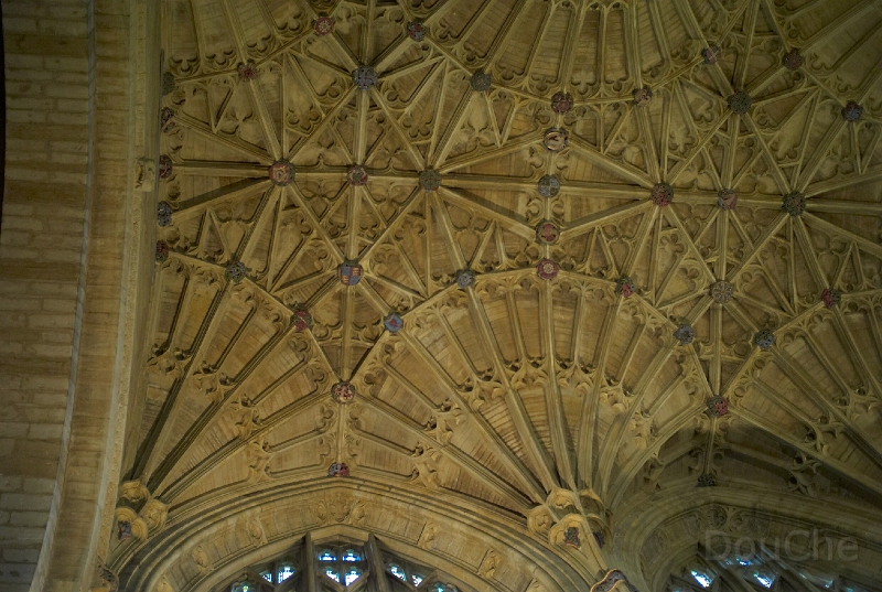 L1005078.jpg