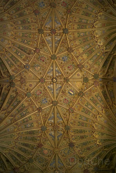 L1005080.jpg
