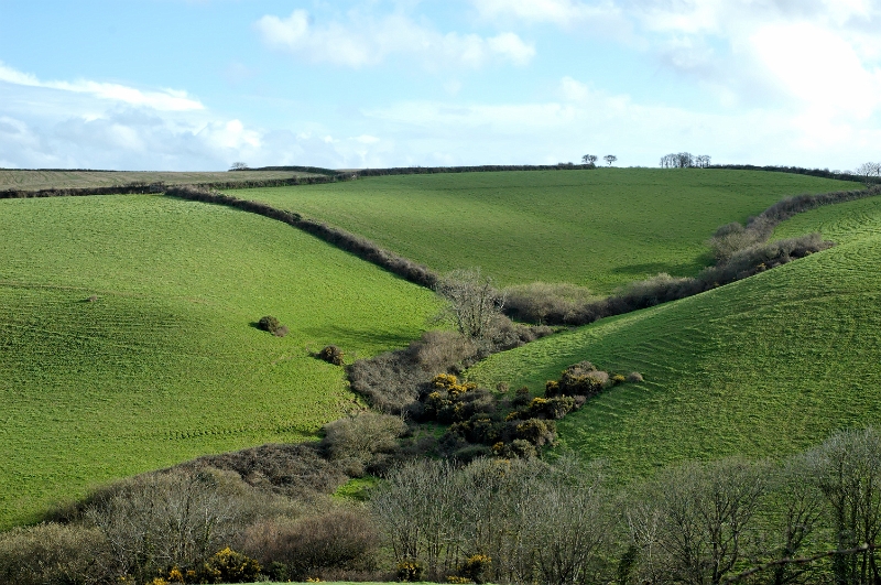 DSC_0175_out.jpg