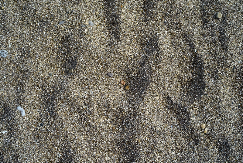 L1005241.jpg