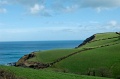 DSC_0174_out