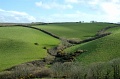 DSC_0175_out
