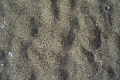L1005241
