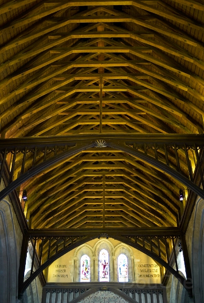 L1004785.jpg