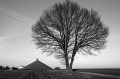 Untitled-1