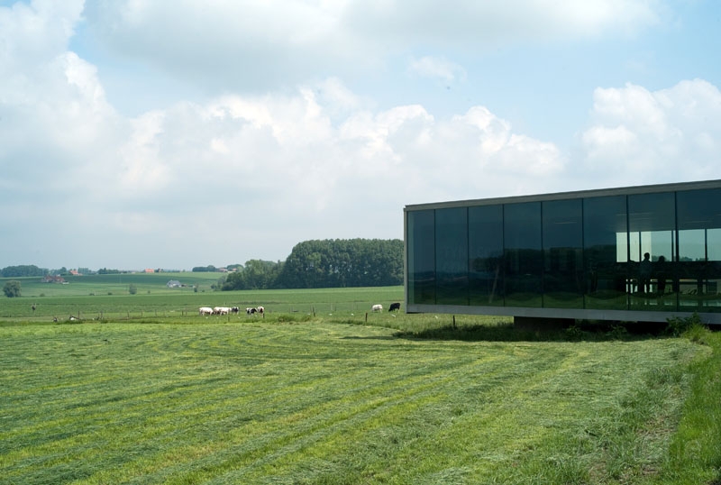 L1006359.jpg