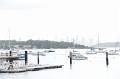 DSC_9456