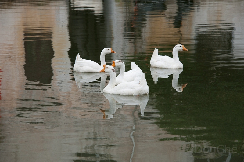 DSC_5459.jpg