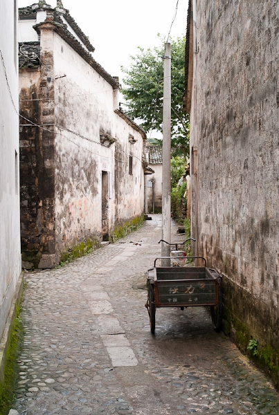 L1010245.jpg