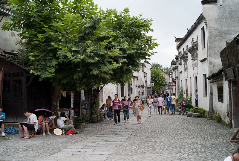 L1010305.jpg