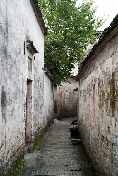 L1010329.jpg