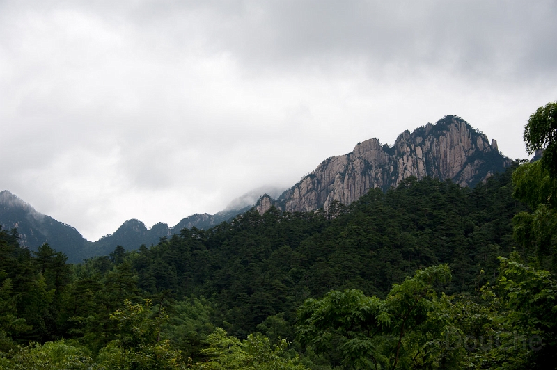 DSC_5013.jpg