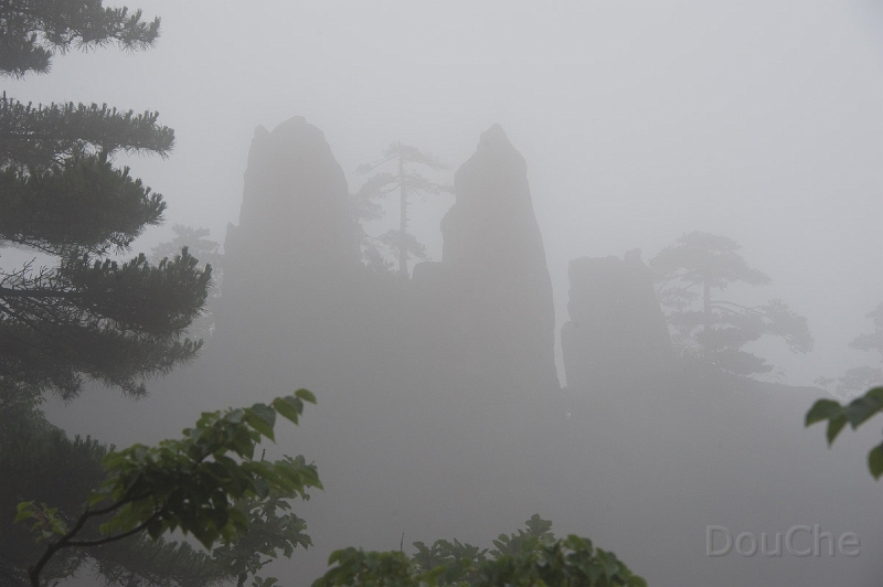 DSC_5038.jpg
