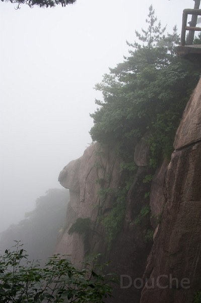 DSC_5103.jpg