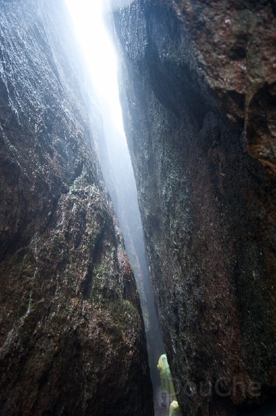 DSC_5105.jpg