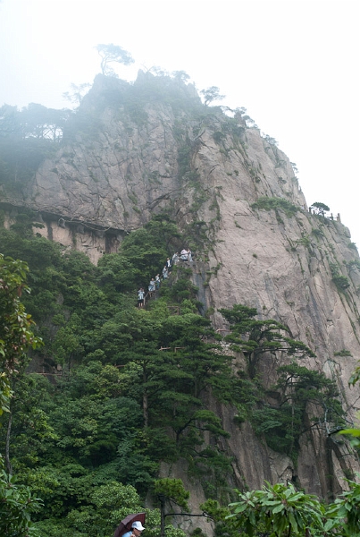 L1010144.jpg