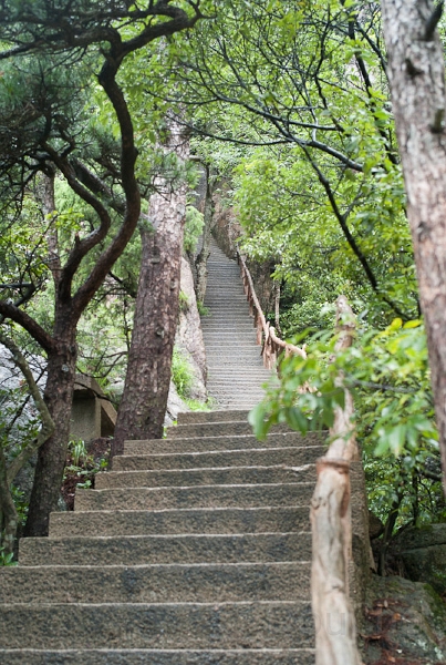 L1010155.jpg