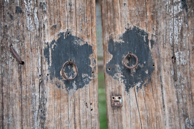 DSC_6037.jpg