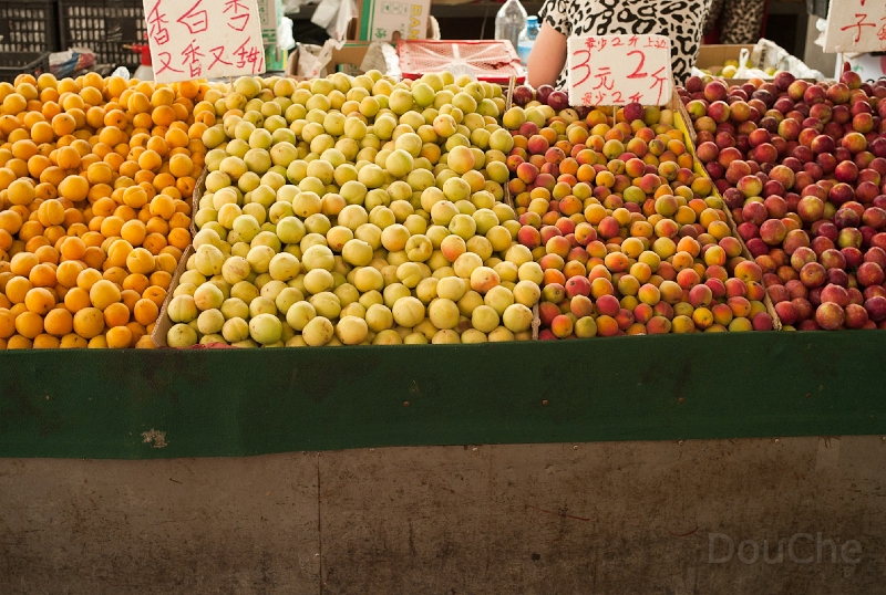L1010055.jpg