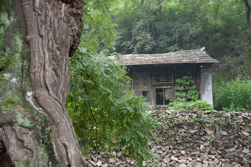 DSC_6137.jpg