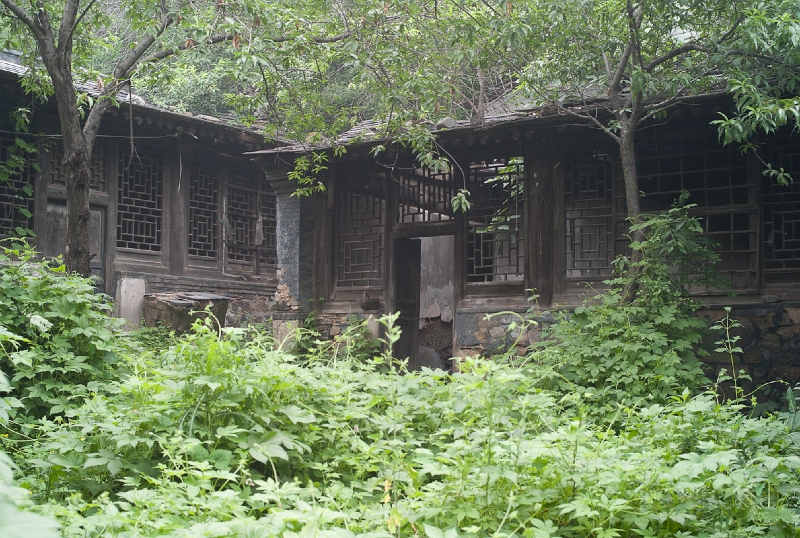 L1010760.jpg