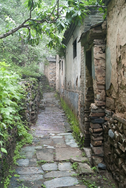 L1010782.jpg